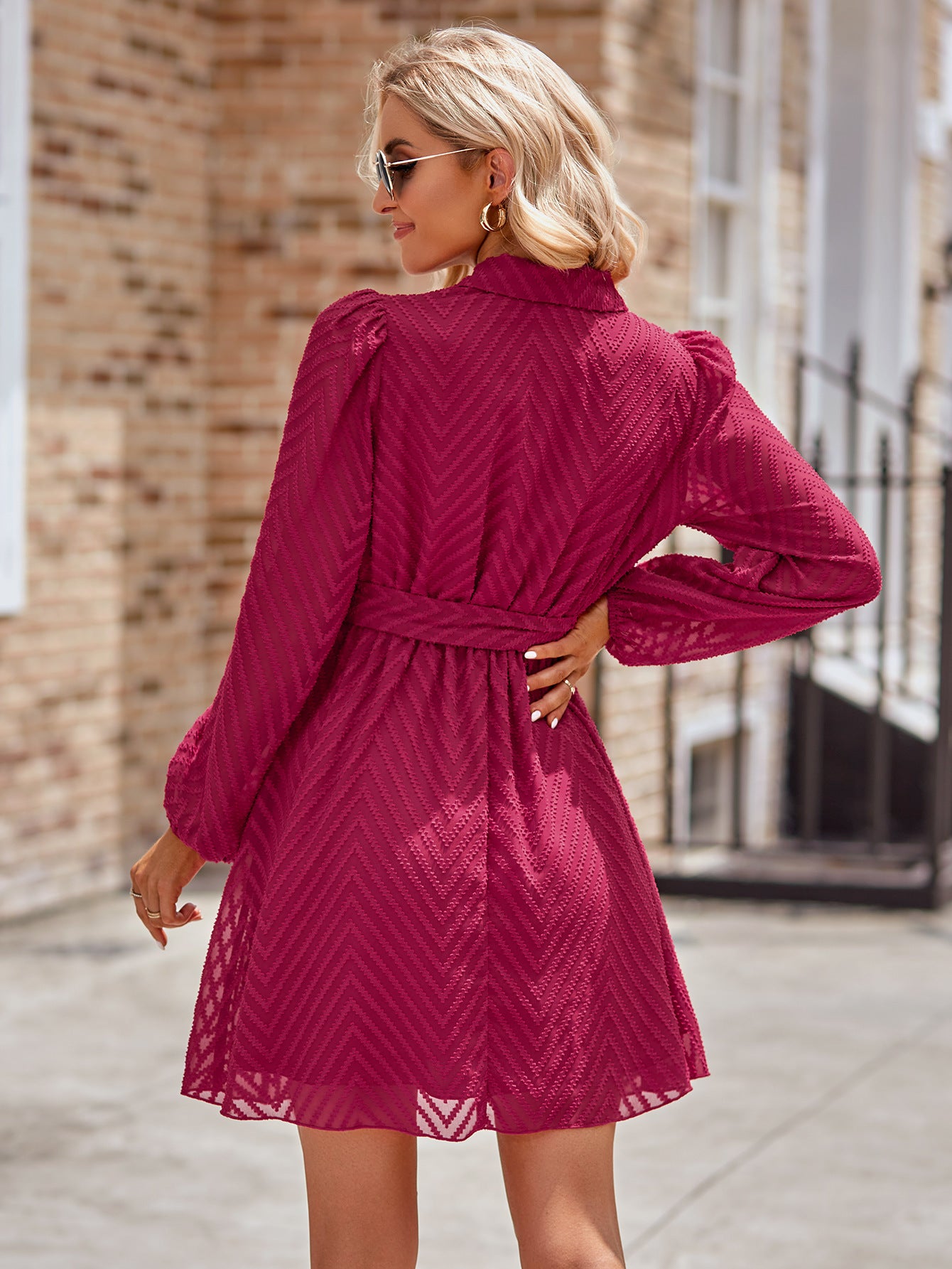 Casual Bliss Long Sleeve Tie Waist Mini Dress