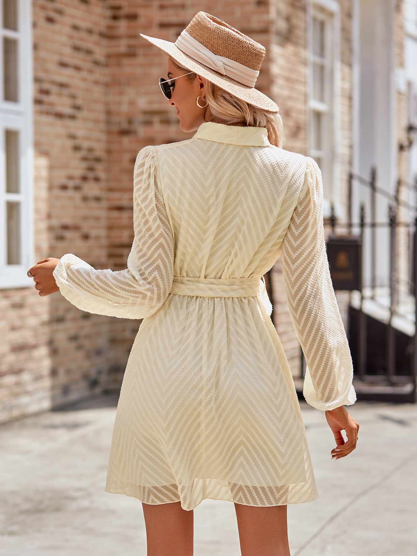 Casual Bliss Long Sleeve Tie Waist Mini Dress